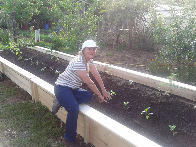 Biokiskert - Vendéglátás