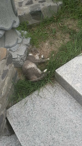 Garáb, Petőfi u. 42, 3067