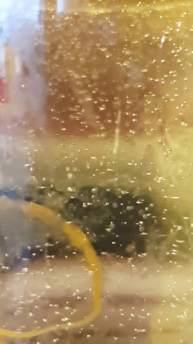 Opinii despre Hekk Terasz Vác în Vác - Vendéglátás