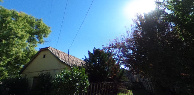 Cserkov Italkereskedés