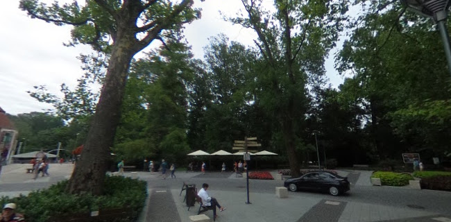 Rózsakert Étterem és Fagyizó