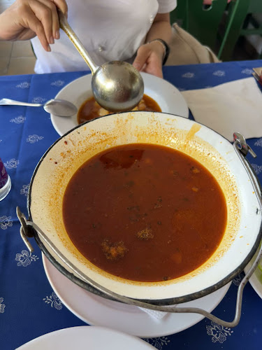 Szeged, Budapesti út 41, 6728