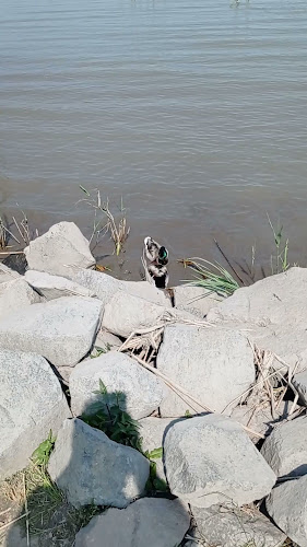 Comentarii opinii despre Halászcsárda