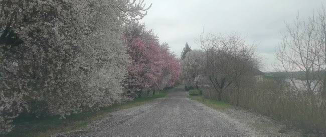 Csuka Csárda - Csongrád