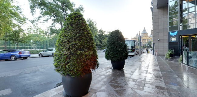 Blue Fox The Bar - Budapest