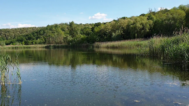 Üvegtigris, a büfé - Tinnye