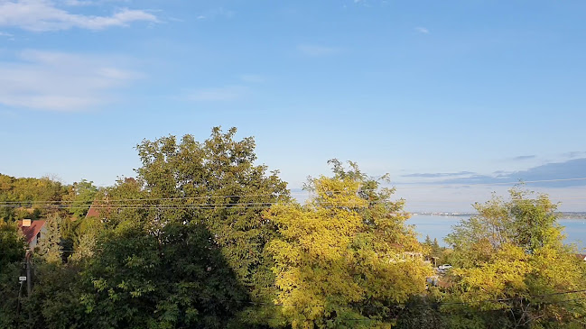 Opinii despre Ferenc Pince Csárda în Tihany - Vendéglátás