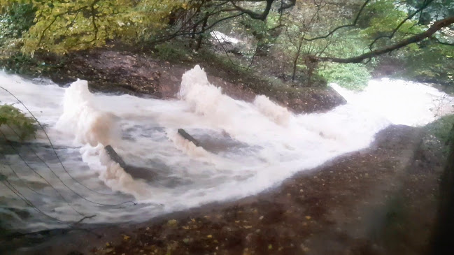 Kemencés Fogadó - Vendéglátás