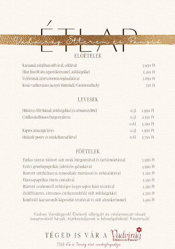 Tatabánya, Táncsics Mihály út 36, 2800