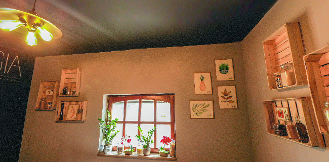 Pancser Pizza és Étterem - Dunakeszi