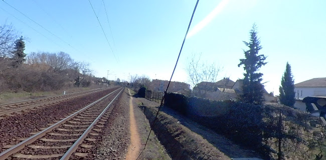 Opinii despre Varga kocsma în Ecser - Vendéglátás