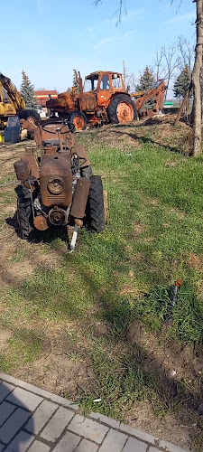 Comentarii opinii despre Tölgyes Csárda