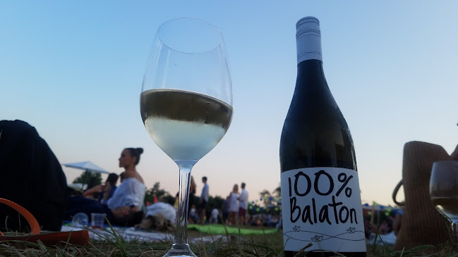 Comentarii opinii despre Press House 47