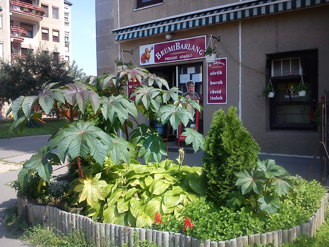 Opinii despre BrumiBarlang presszó - söröző în Budapest - Vendéglátás