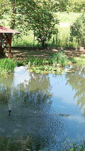 Ilka Csárda Panzió - Göd