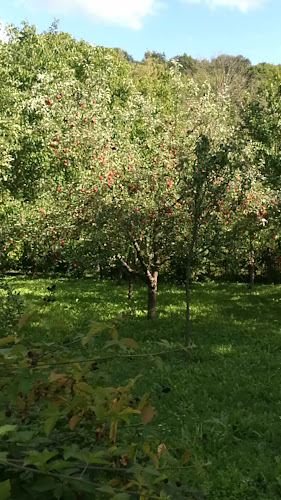 Comentarii opinii despre Grabensia Ambrus Apát Fogadó