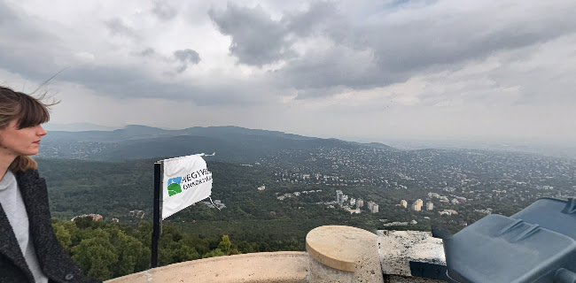 Comentarii opinii despre Kilátó Kávézó