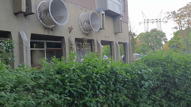 Fagylaltkirály kft.