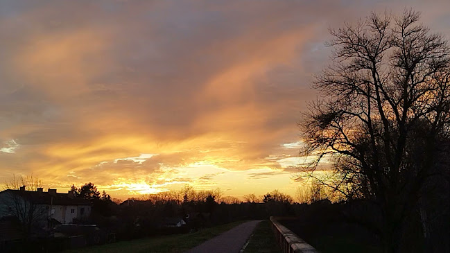 Opinii despre Belvárosi Pékség Bt. în Csongrád - Vendéglátás