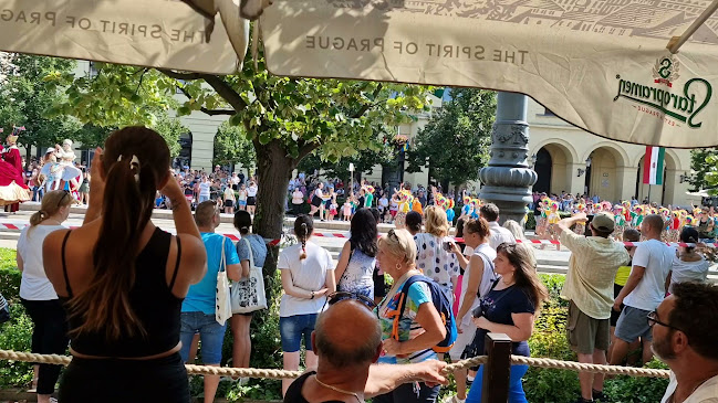 Debrecen, Piac u. 29, 4025