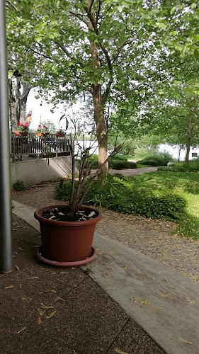 Kis Molo Kávézó Étkezde