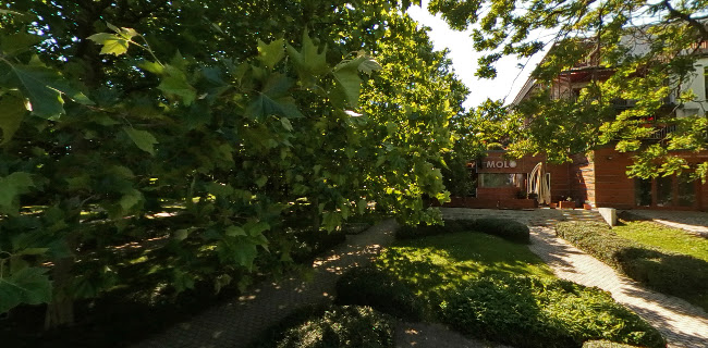 Kis Molo Kávézó Étkezde