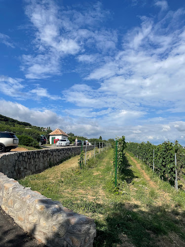 Pécsi Egyetemi Borbirtok - Pécs