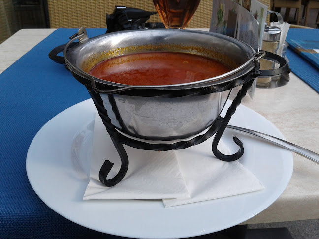 Comentarii opinii despre Rózsakert Étterem és Fagyizó