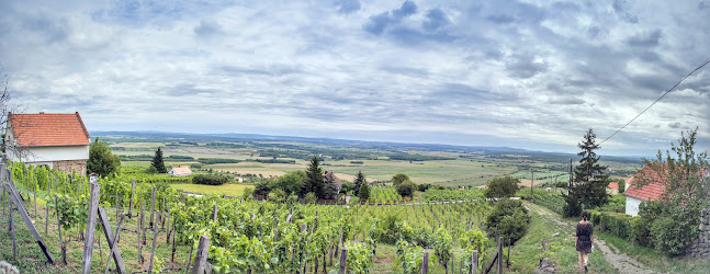 Ede Bácsi Pincéje - Somlóvásárhely