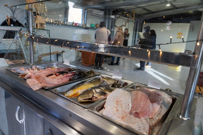 Opinii despre Aranyponty Zrt Halbolt - Rétimajor în Sáregres - Vendéglátás