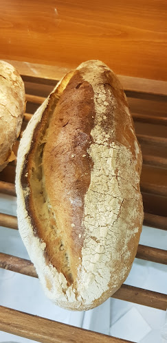 Szeged, Tas u. 1, 6791