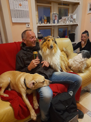 Opinii despre Szín és Tér Kft. în Gölle - Vendéglátás