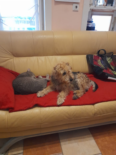 Szín és Tér Kft. - Gölle