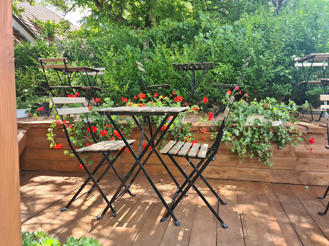 Comentarii opinii despre Mátyás Udvar Bisztró & Terasz