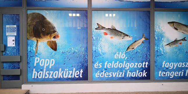 Opinii despre Papp Halbolt Halszaküz în Nagyatád - Vendéglátás