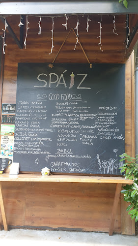 Comentarii opinii despre Pallag Spájz