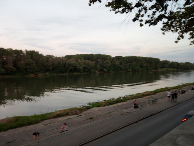 Piano Pub - Vendéglátás