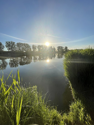 Tópart Grill - Őrbottyán