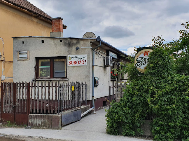 Mackó Kuckó Borozó - Budapest