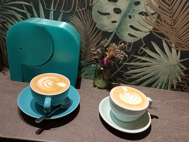 Kék Elefánt Kávézó - Szeged