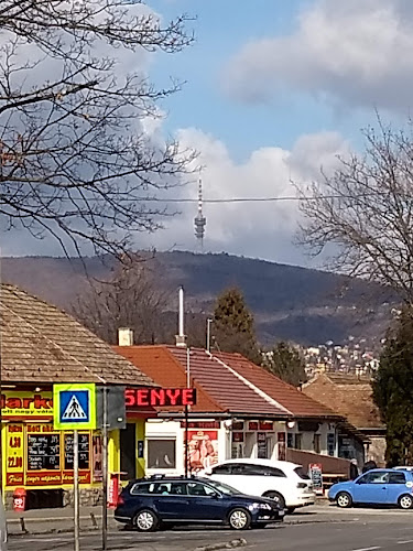 Stétz Hús Kft. - Pécs