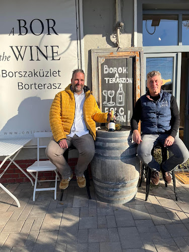 Comentarii opinii despre A BOR/the Wine Borszaküzlet, borterasz