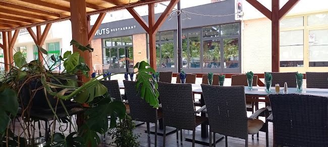 Nuts Grill&Wine - Vendéglátás