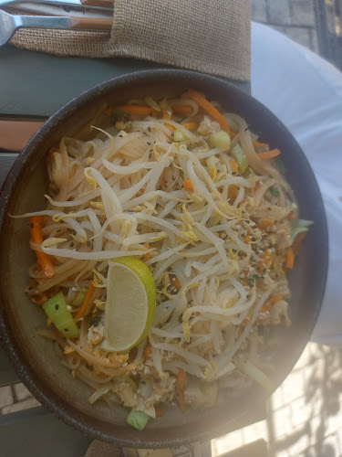 Comentarii opinii despre Pajti