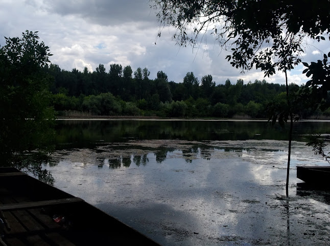 Comentarii opinii despre Szegfű csárda (régi idők emléke)