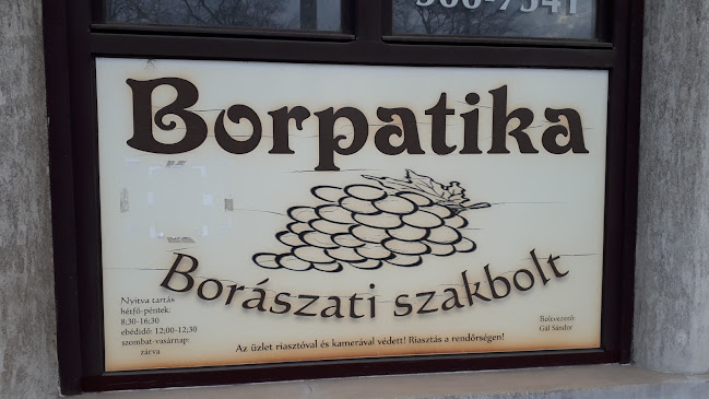 Comentarii opinii despre Borpatika Borászati Szakbolt