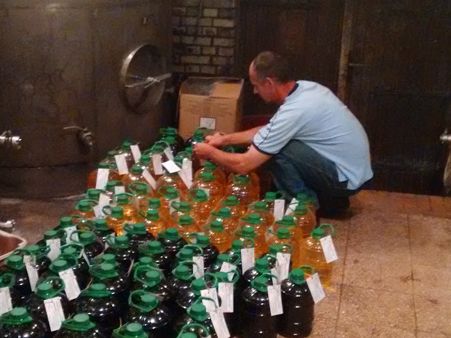 Podmaniczky Pince és Szőlőbirtok - Vendéglátás