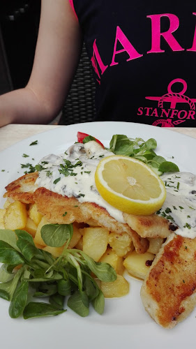 Rózsakert Étterem és Fagyizó - Vendéglátás