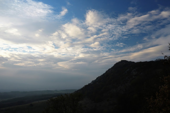 Opinii despre Sport Söröző în Kesztölc - Vendéglátás