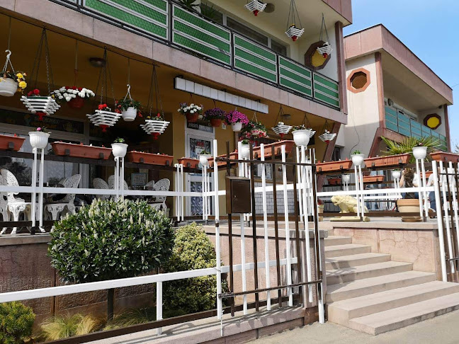 Comentarii opinii despre Mészáros Fagyizó